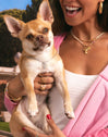 Charm Chihuahua Baño Oro