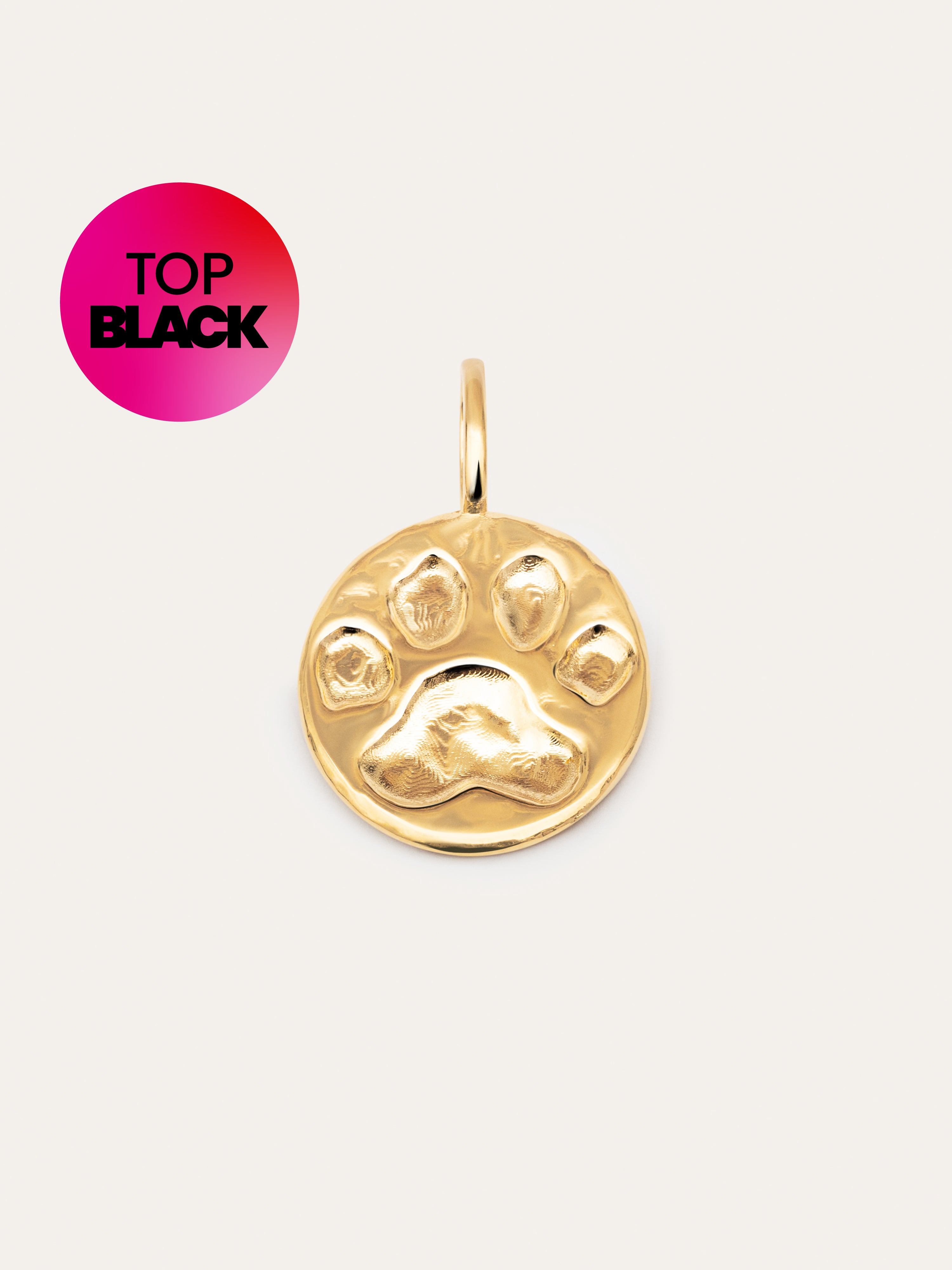 Paw Gold Charm