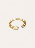 Ring Cane Cianiet verguld met goud