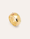 Imagen detalle de Anel Curve Rainbow Aço Banho Ouro