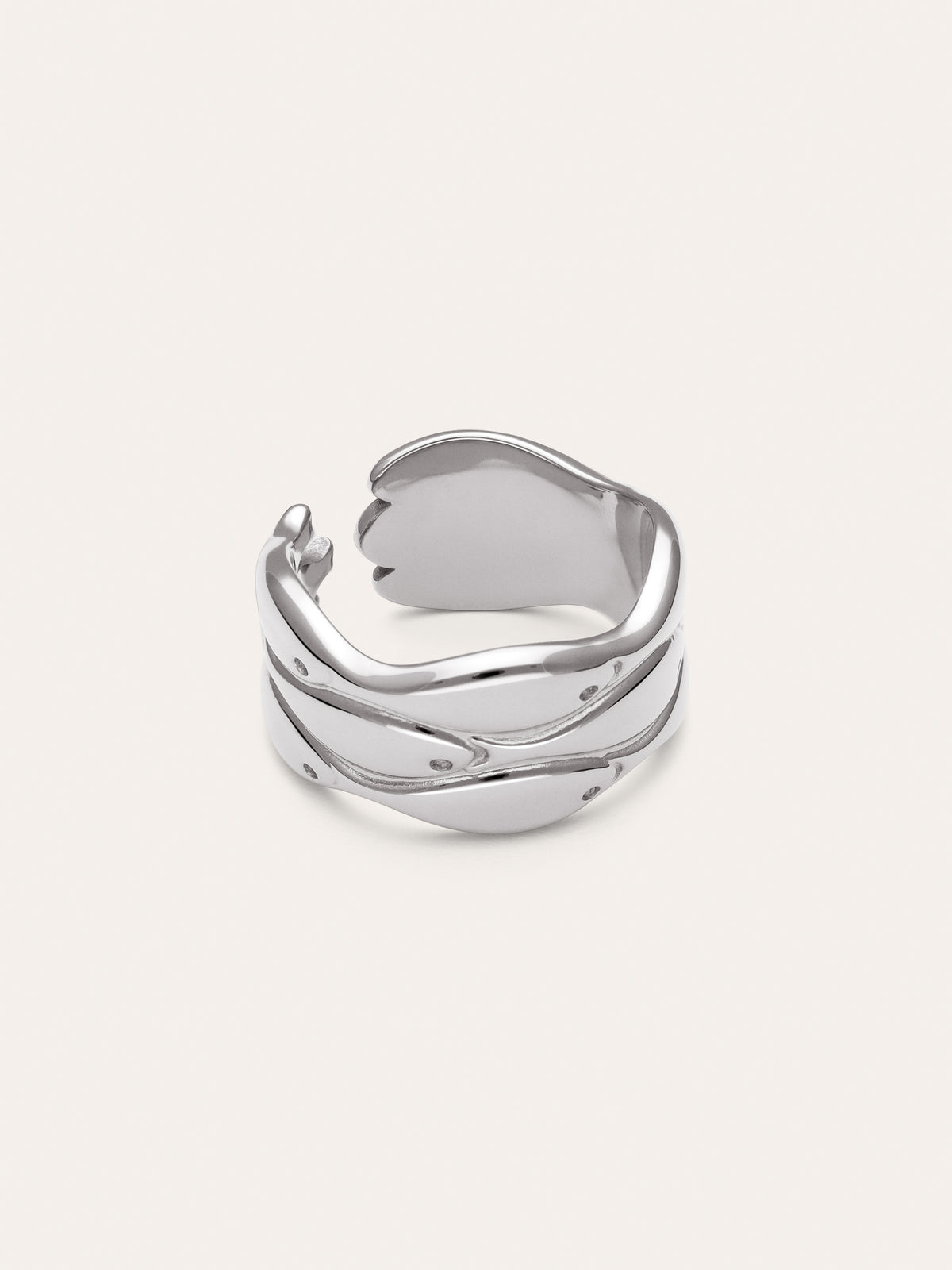 Ring Maui Staal