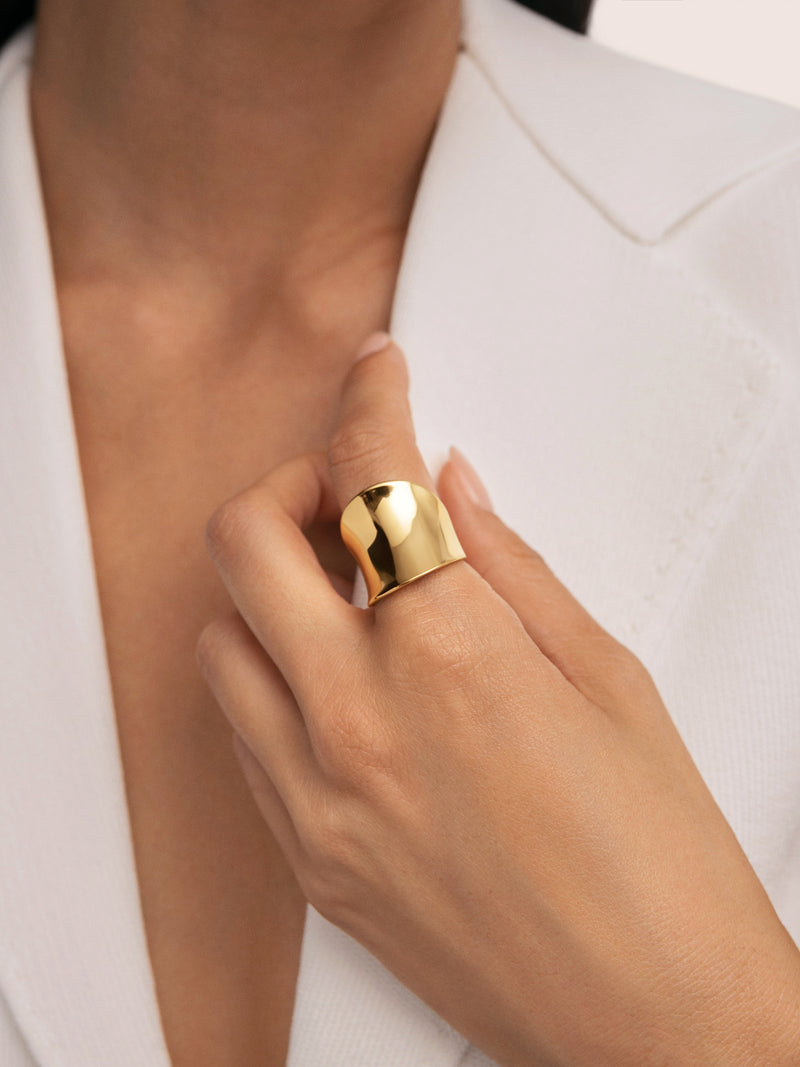 Anillo Odisea Acero Baño Oro