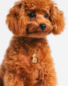 Charm Caniche Toy Baño Oro