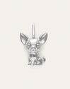 Charm Chihuahua