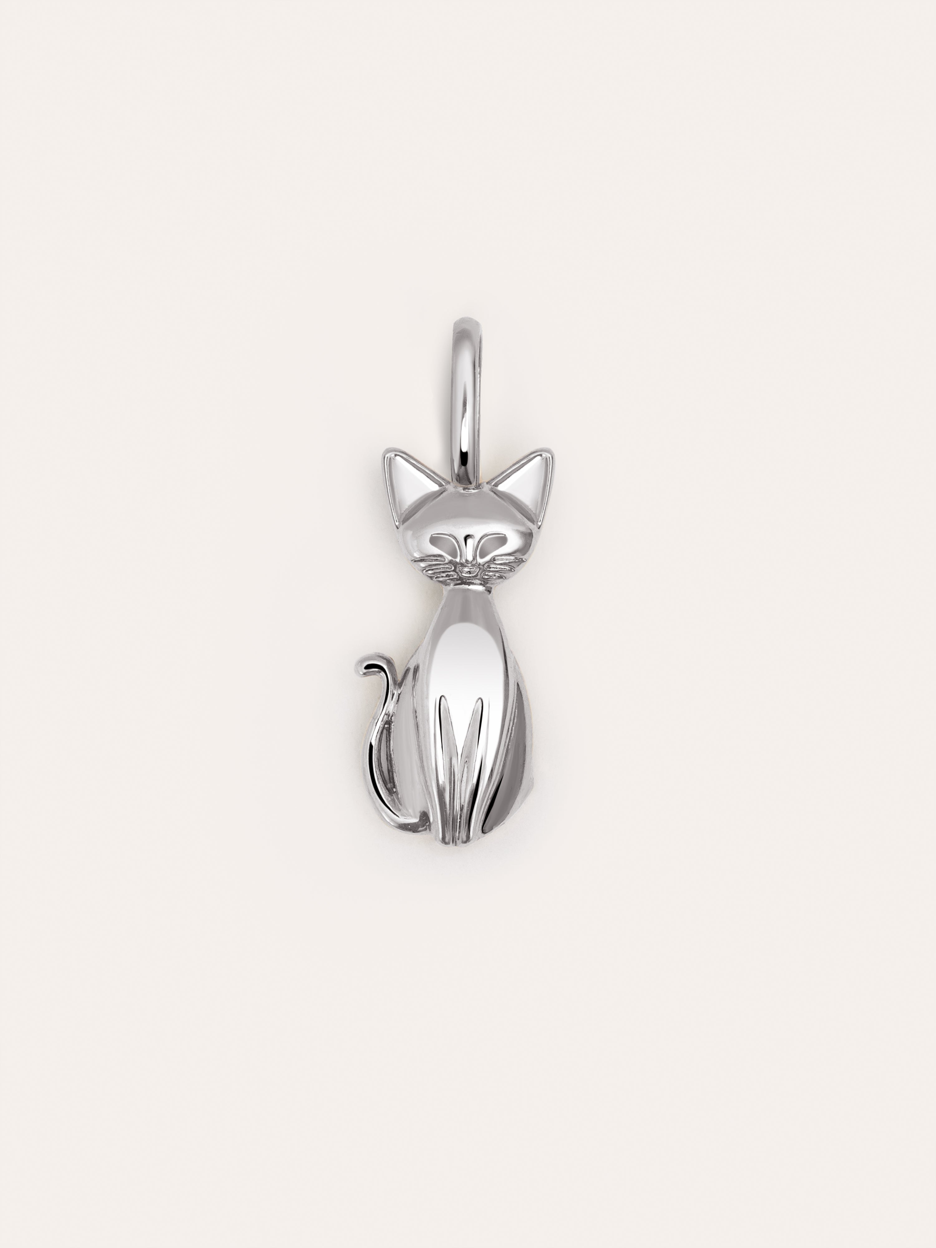 Charm Salem Gato Enamel Gris