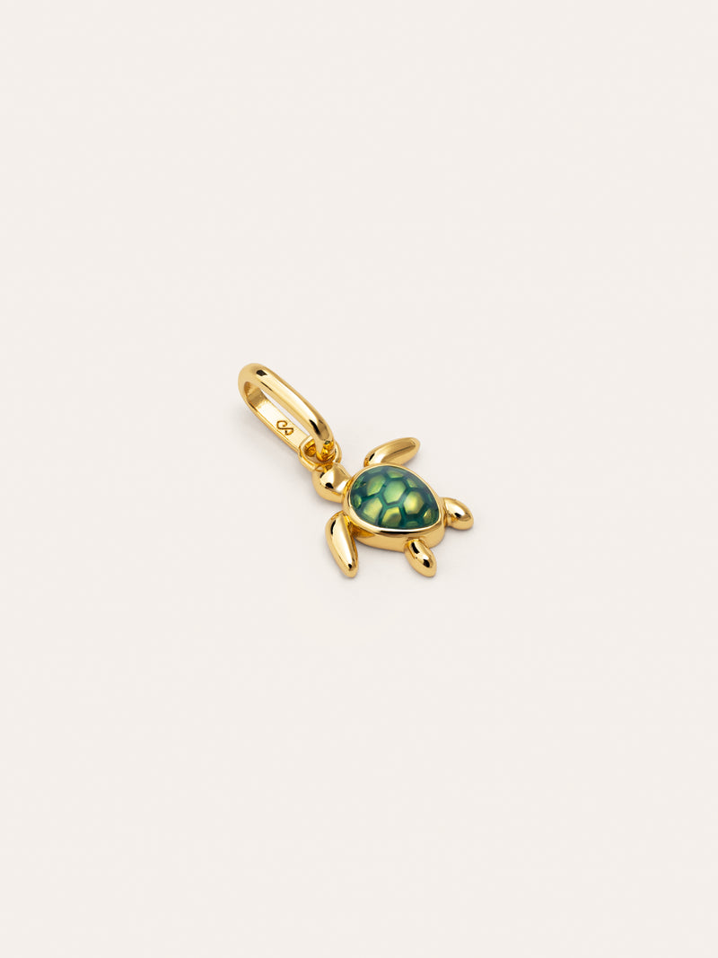 Charm Tortuga Baño Oro