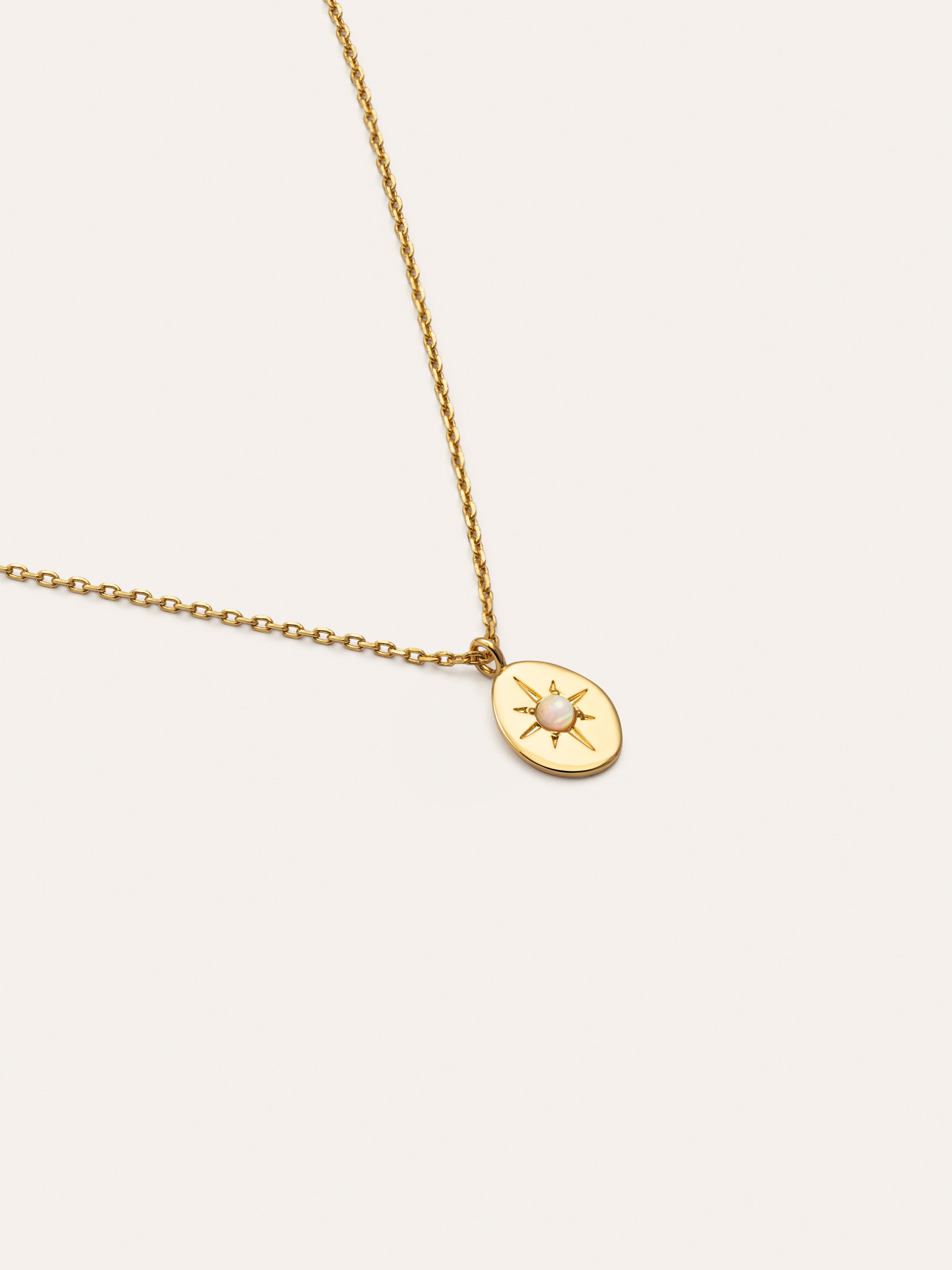 Medallion Polaris Gold Necklace