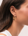 Twist Steel Gold-Plated Earrings - puesto en modelo