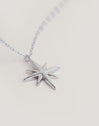 Conseils pour collier en acier